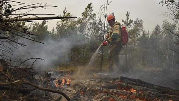 В Крыму площадь ландшафтного пожара выросла почти вдвое