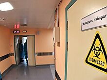 В Петербурге не планируют отменять массовые мероприятия