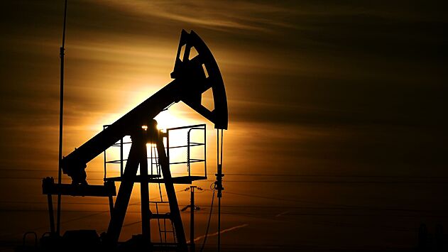 Названы новые страны-покупатели российской нефти после демарша ЕС