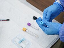 Названы люди, мешающие выходу на плато по COVID-19
