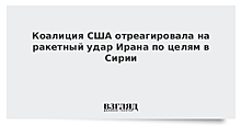 Песков заявил о продолжении борьбы с террористами в Сирии