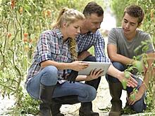 Россельхозбанк помогает активным студентам-аграриям получить опыт работы в отрасли