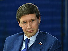 Сенаторы предложили создать российские стандарты искусственного интеллекта