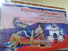 «Зеленый свет» для лучших борцов