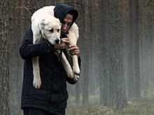 6 ярких картин Международного кинофестиваля в Сан-Себастьяне