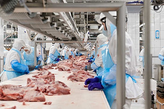 Ленинградская область на 20% увеличила выпуск мясных продуктов