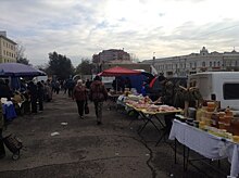 Пензенская область — в лидерах по производству курятины в стране