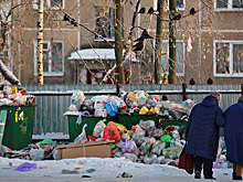 Жители Москвы и области пожаловались на проблемы с вывозом мусора
