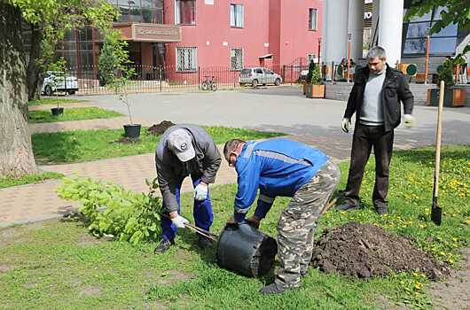 Мэр Воронежа высоко оценил поступок корреспондента Анны Андреещевой