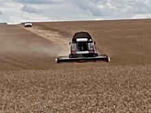 В Курской области ущерб предприятий АПК и бизнеса от вторжения ВСУ превысил 117 млрд