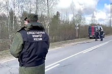 Уголовное дело возбудили после подрыва ЛЭП в Ленинградской области