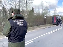 Уголовное дело возбудили после подрыва ЛЭП в Ленинградской области