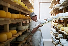Олег Сирота: производство сыров растёт, значит, можно открывать бизнес