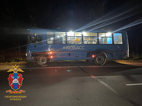 Лось погиб под колесами автобуса на трассе в Кузбассе