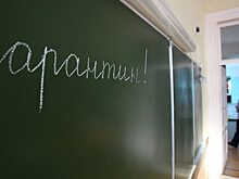 В школах Тамбова приостановили занятия из-за ситуации с ОРВИ