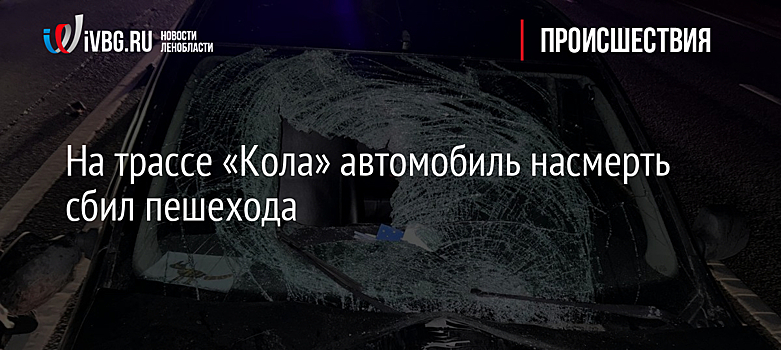 На трассе «Кола» автомобиль насмерть сбил пешехода