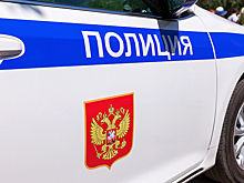 Следствие попросило арест для женщины, выбросившей из окна ребенка подруги в ТиНАО