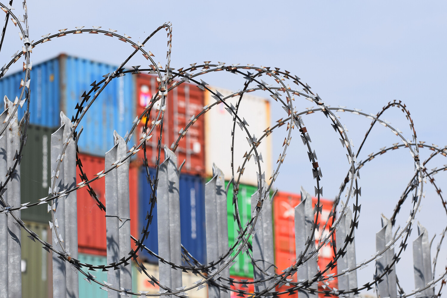 �����������:&nbsp; ������ ������ ����� ����� 31,5����. �������