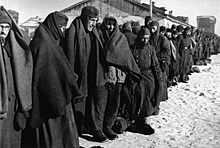 «Армия мучеников»: кто сегодня считает разбитых под Сталинградом немцев «жертвами войны»