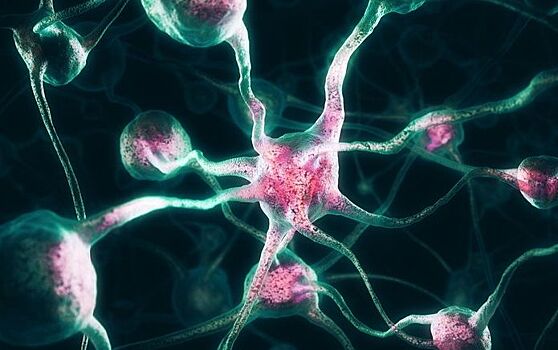 Нейронной сетью научились управлять инфракрасным излучением
