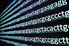 Генетический тест выявил первую в России мутацию гена, вызывающую дегенерацию нейронов в детстве