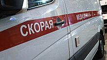 В Красноярском крае микроавтобус столкнулся с экскаватором