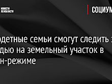Многодетные семьи смогут следить за очередью на земельный участок в онлайн-режиме