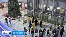 Митрополит освятил новый атриумный зал воронежского «Центра Галереи Чижова»