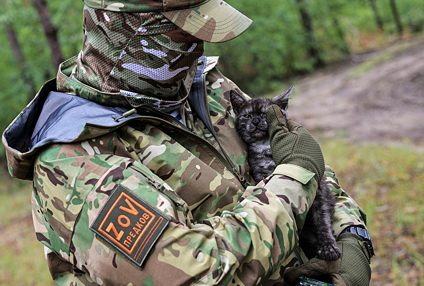 Военнослужащий одного из подразделений тылового обеспечения Ивановского гвардейского соединения ВДВ Вооруженных сил РФ в зоне специальной военной операции