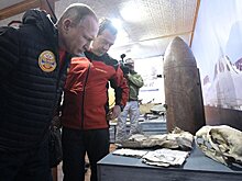 Путин: РФ готова к совместному освоению Арктики с иностранными партнерами