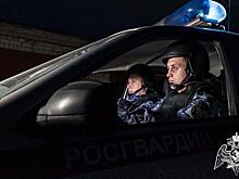 В Шилове задержали пьяного мужчину на снегоходе