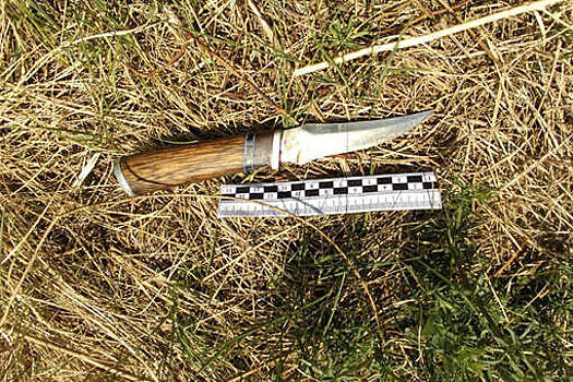 В Бурятии мужчина напал с ножом на жену и несовершеннолетнюю дочь