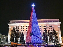 Член Совфеда похвалил кемеровскую елку за 18 миллионов рублей