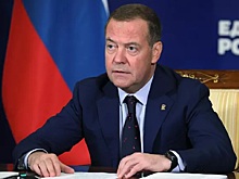 Медведев обвинил президента Грузии в попытке подогреть протесты для переворота