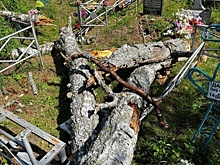 Ураган повалил деревья на кладбище в Нижегородской области