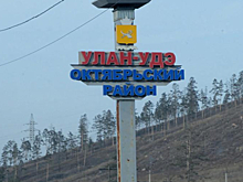 Электричество в школах и больнице Улан-Удэ отключила наглая крыса