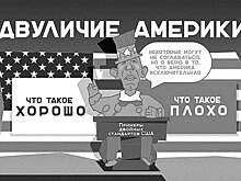 WSJ: Россия пытается разрушить американский миропорядок
