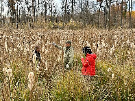Специалисты провели профилактическое обследование болот Бузулукского бора