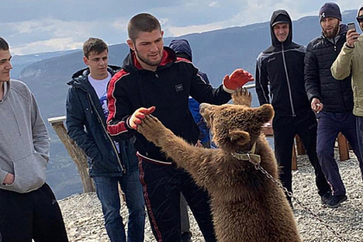 Нурмагомедова распекли за борьбу с медвежонком