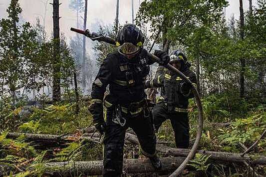 Два из шести лесных пожаров ликвидировано в Подмосковье 29 августа