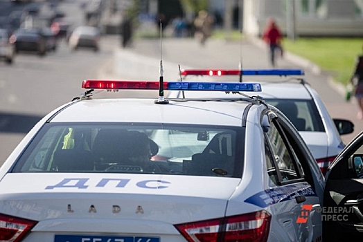 В Подмосковье произошло смертельное ДТП с 4 грузовиками и 7 легковушками