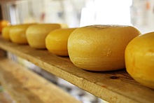 Электронный мастер-класс для любителей сыра организует ВДНХ