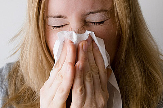 Врач дал россиянам советы по борьбе с сезонной аллергией