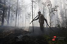 В Югре предложили новый способ тушения пожаров