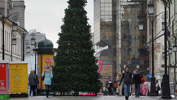 Около 270 елок установят в Москве к Новому году
