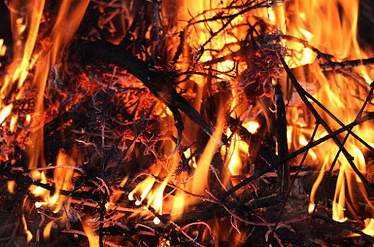 Площадь пожаров в лесах Иркутской области сократилась на 50 тысяч гектаров