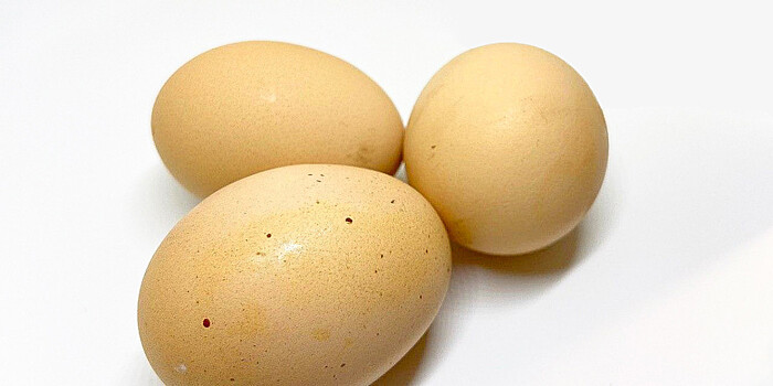 Завтрак аристократа за пять минут: рецепт яиц «Орсини»