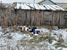 В ершовском селе нашли тело замерзшего пенсионера