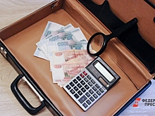 Специальный налоговый режим в Башкирии упростит жизнь предпринимателей республики