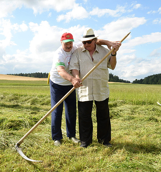 У президента Белоруссии Александра Лукашенко отношения с сельским хозяйством еще более теплые, чем у российского лидера. Лукашенко регулярно можно видеть на поле — с косой, серпом, на комбайне, а то и с мешком картошки
